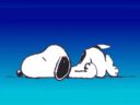 snoopy 2.jpg